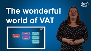 The wonderful world of VAT