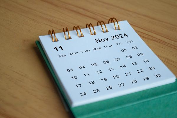 November 2024 calendar image