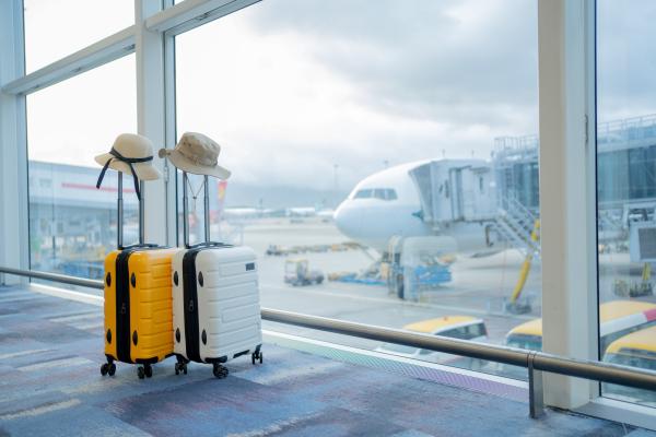 Two carry on suitcases in airport window